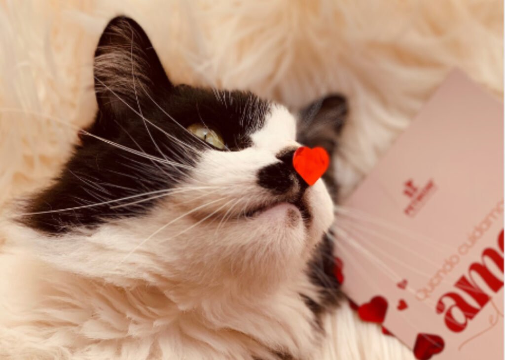 JOIAS PETMOM - Joias para quem ama animais