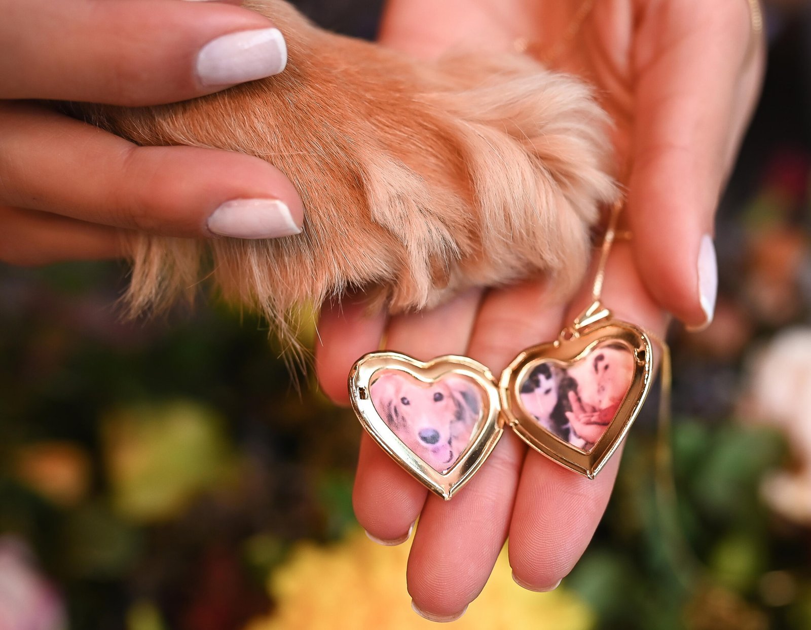 JOIAS PETMOM - Joias para quem ama animais